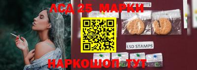 гидра Дубна