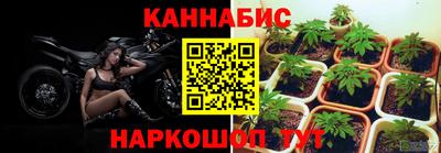 гидра Дубна