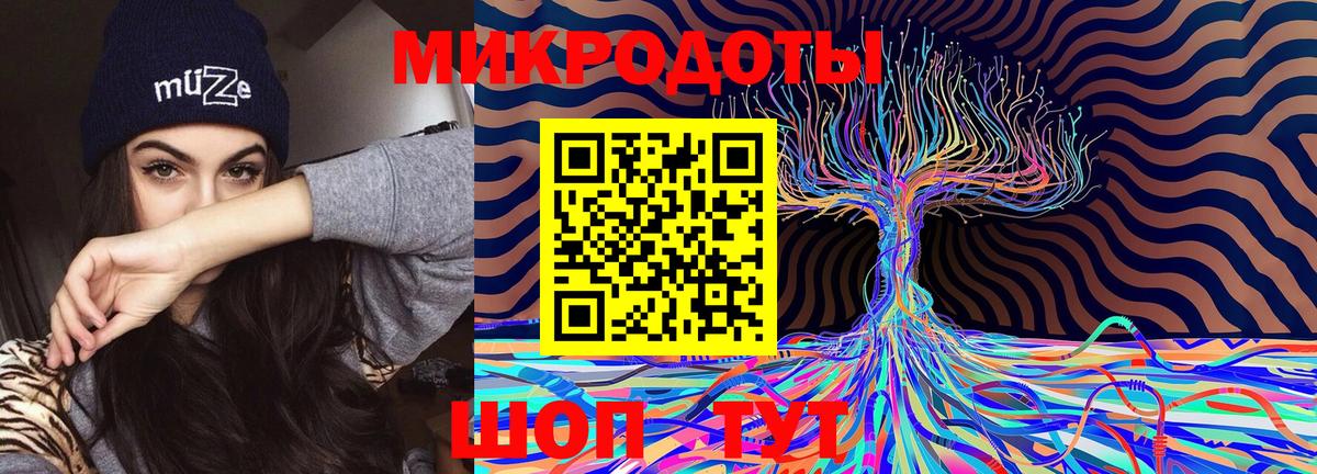 Псилоцибиновые грибы Psilocybine cubensis  Вход с VPN  Михайловка 